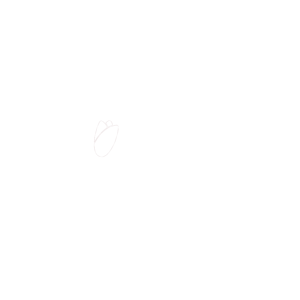 Ilseke